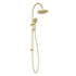 Phoenix Vivid MKII Twin Shower