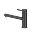 Nero Senza Plus Sink Mixer