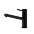 Nero Senza Plus Sink Mixer