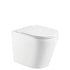 Fienza Aluca Wall Face Package with Geberit Inwall Cistern