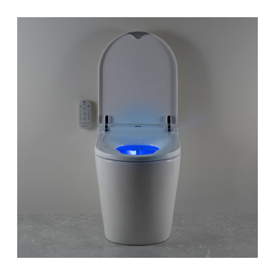 Argent Evo Wall Faced Smart Bidet Toilet Package