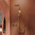 Kaya Retrofit Twin Shower System