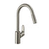 Hansgrohe Focus M41 Pullout Mixer