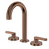 Fienza Kaya Lever Basin Set