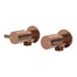 Fienza Kaya Washing Machine Taps