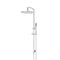 Meir Round Combination Shower Rail, 300mm Rose, Single Function Hand Shower