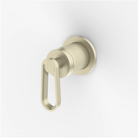 Novas Frame Shower Mixer with Lever
