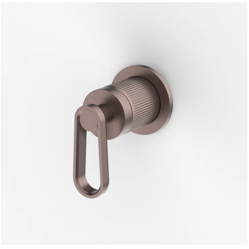 Novas Frame Shower Mixer with Lever