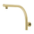 Phoenix High Rise Wall Shower Arm
