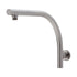 Phoenix High Rise Wall Shower Arm