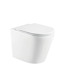 Fienza Aluca Wall Face Package with Geberit Inwall Cistern