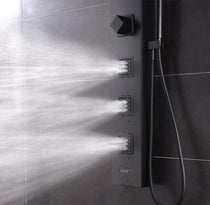 Alder Life Panel Shower System